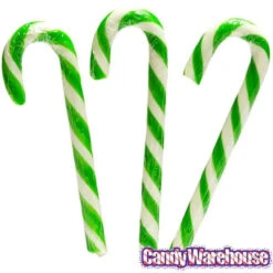 Archie McPhee Pickle Candy Canes: 6-Piece Box 4 Archie McPhee Pickle Candy Canes: 6-Piece Box -Candy Haven Shop archie mcphee pickle candy canes 6 piece box candy warehouse 2