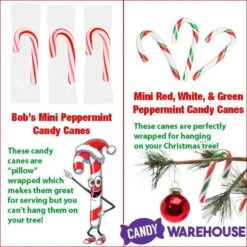 Brach's Peppermint Mini Candy Canes: 500-Piece Tub 8 Brach's Peppermint Mini Candy Canes: 500-Piece Tub -Candy Haven Shop brach s peppermint mini candy canes 500 piece tub candy warehouse 4