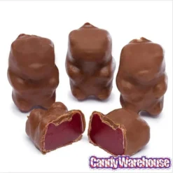 Chocolate Covered Cinnamon Bears: 14-Ounce Bag -Candy Haven Shop chocolate covered cinnamon bears 14 ounce bag candy warehouse 4