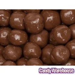 Chocolate Covered S'Moresels: 2LB Bag -Candy Haven Shop chocolate covered s moresels 2lb bag candy warehouse 3