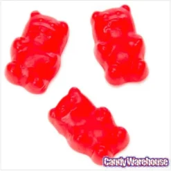 Cinnamon Bears Candy: 16-Ounce Bag 6 Cinnamon Bears Candy: 16-Ounce Bag -Candy Haven Shop cinnamon bears candy 16 ounce bag candy warehouse 3