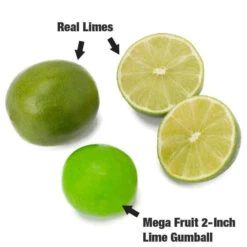 Dubble Bubble Mega Fruit 2-Inch Gumballs: 138-Piece Case 7 Dubble Bubble Mega Fruit 2-Inch Gumballs: 138-Piece Case -Candy Haven Shop dubble bubble mega fruit 2 inch gumballs 138 piece case candy warehouse 3 7e3b768f 881f 41d7 b53e 9ee6843e3179