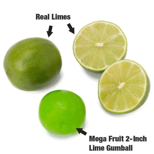 Dubble Bubble Mega Fruit 2-Inch Gumballs: 138-Piece Case 3 Dubble Bubble Mega Fruit 2-Inch Gumballs: 138-Piece Case - Image 3