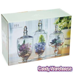 Glass Candy Jars With Lids - 6-Inch: 3-Piece Set -Candy Haven Shop glass candy jars with lids 6 inch 3 piece set candy warehouse 4