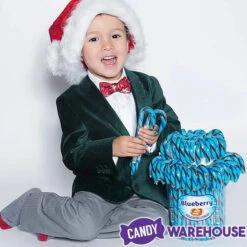 Jelly Belly Candy Canes - Blueberry: 80-Piece Bucket 6 Jelly Belly Candy Canes - Blueberry: 80-Piece Bucket -Candy Haven Shop jelly belly candy canes blueberry 80 piece bucket candy warehouse 3
