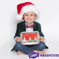 Mini Candy Canes - Red, Green, And White: 100-Piece Tub 11 Mini Candy Canes - Red, Green, And White: 100-Piece Tub -Candy Haven Shop mini candy canes red green and white 100 piece tub candy warehouse 4