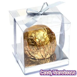 Wilton Silver Clear Favor Box Kits: 20-Piece Set -Candy Haven Shop silver clear favor box kits 20 piece set candy warehouse 3